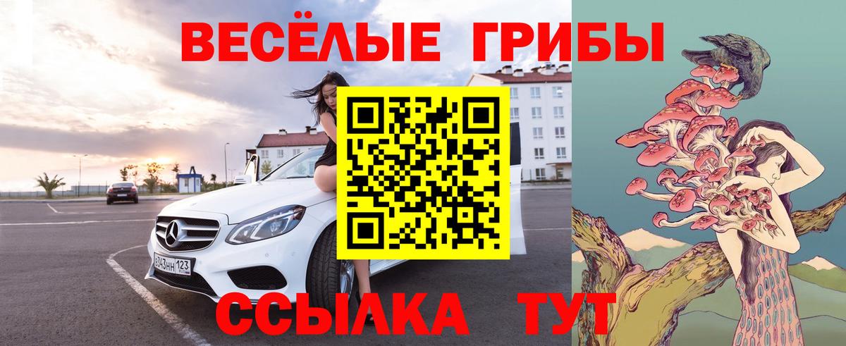 Галлюциногенные грибы Magic Shrooms  Псилоцибиновые грибы ЛСД  Аксай  Вход с VPN 